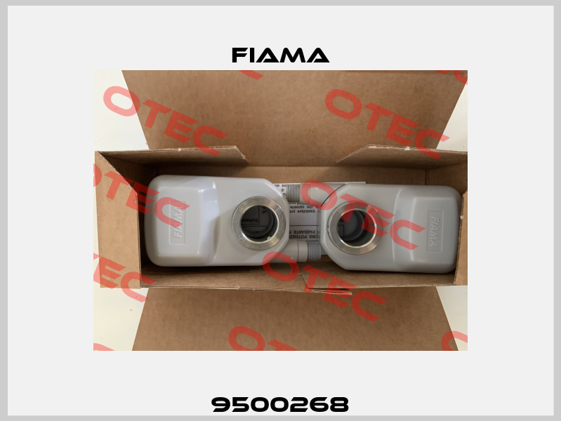 9500268 Fiama
